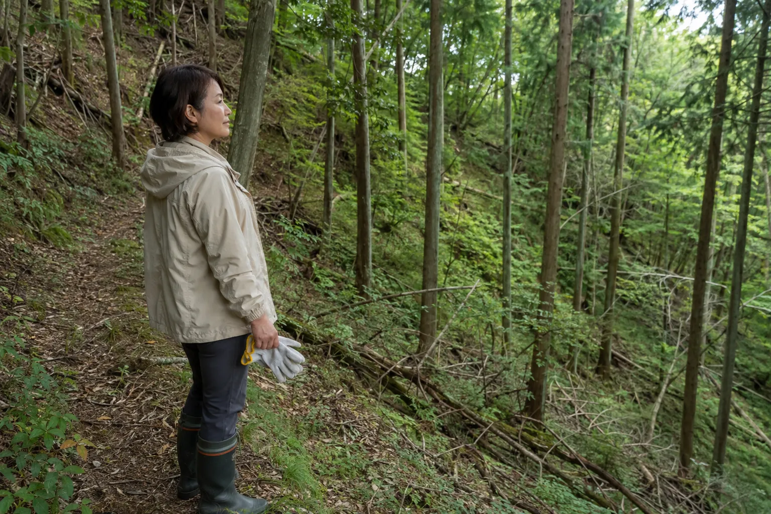 竹林のある土地を購入したい方へ、伐採費用・越境・地盤・管理負担を確認し、景観や資源として活かす方法まで解説
